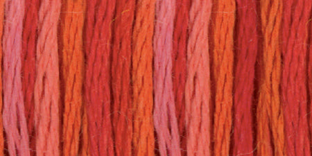 Color Variations Embroidery Floss