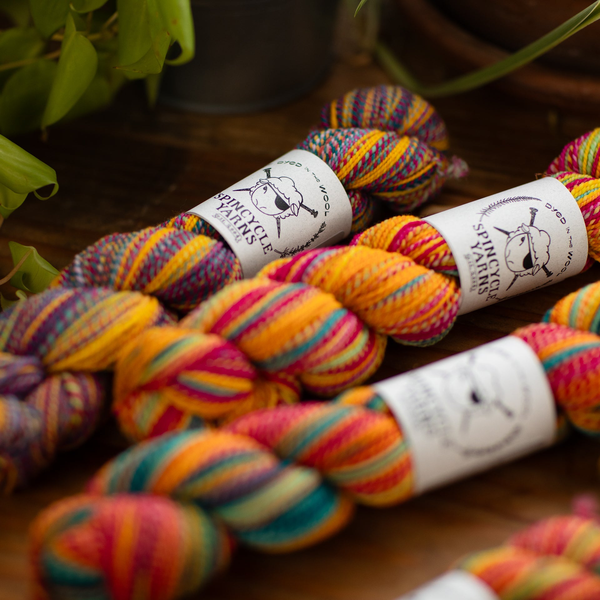 Dyed in the Wool : our exclusive colorway